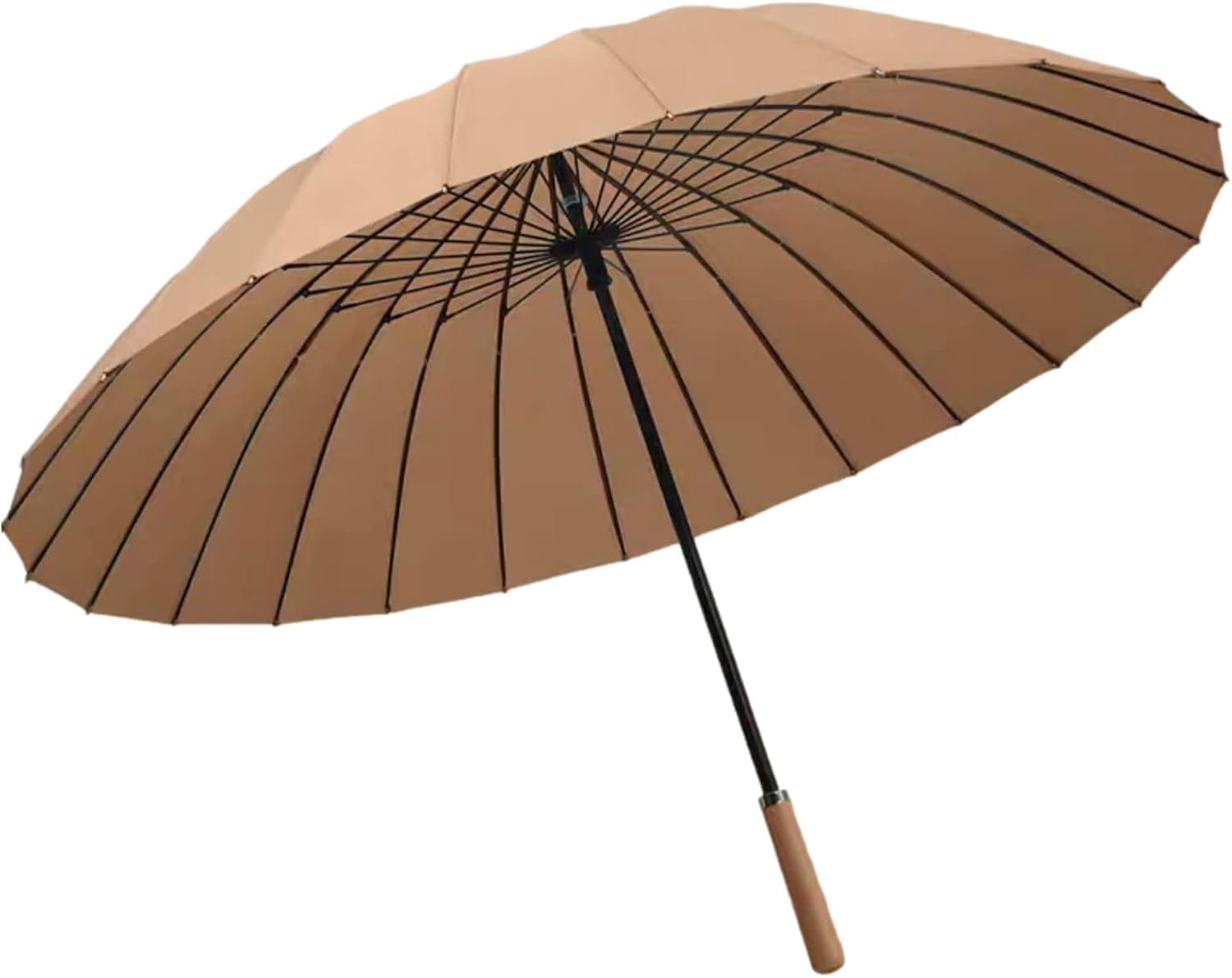 517hoLLBwyL._AC_SL1500_